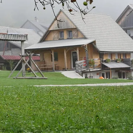 Apartmaji Pri Kozmavo - Little House * Bohinj