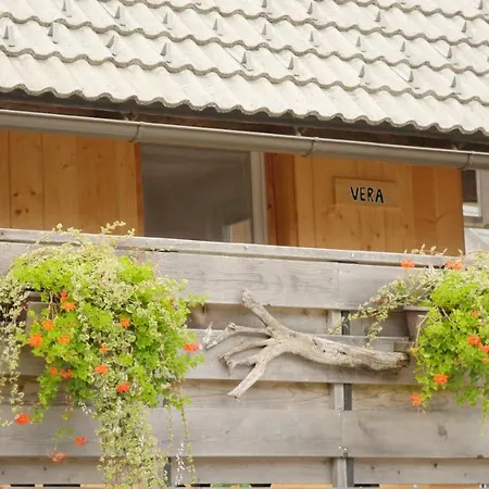 Apartmaji Pri Kozmavo - Little House Бохинь