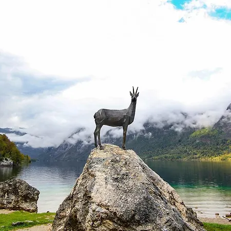 Apartmaji Pri Kozmavo - Little House Apartment *