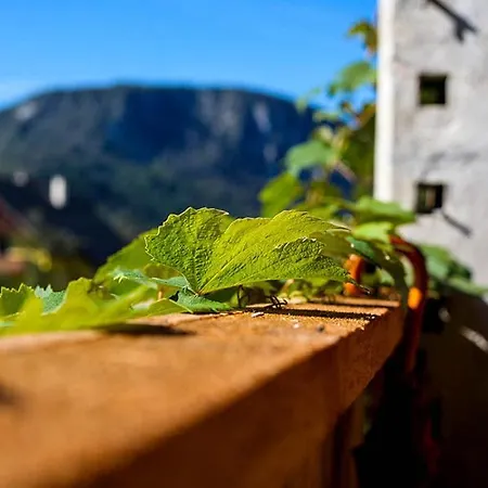 Apartmaji Pri Kozmavo - Little House Апартаменты