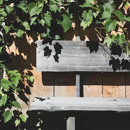 Apartmaji Pri Kozmavo - Little House Bohinj