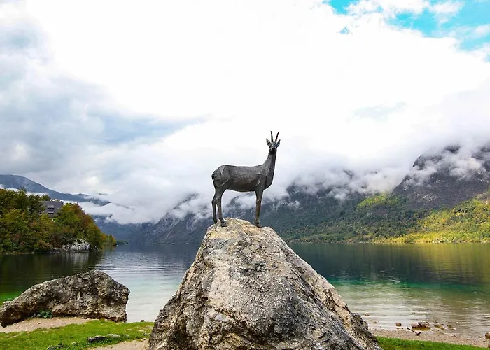 Apartmaji Pri Kozmavo - Little House Daire *